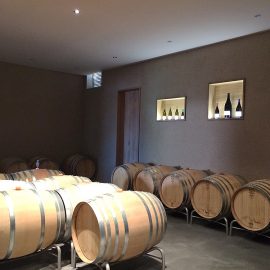 Umbau- und Erweiterung Wein­produktion Bovel